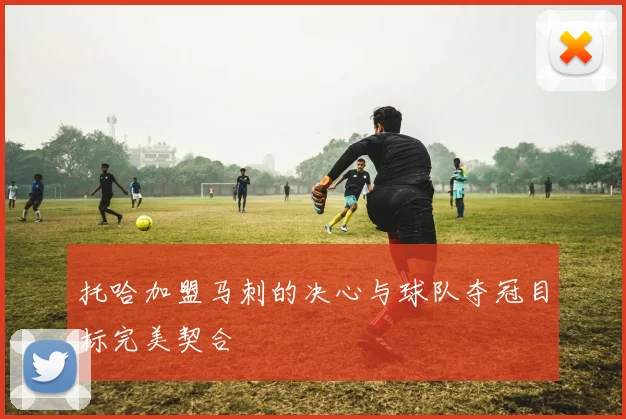 托哈加盟马刺的决心与球队夺冠目标完美契合
