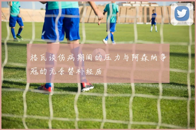 格瓦谈伤病期间的压力与阿森纳争冠的无奈替补经历